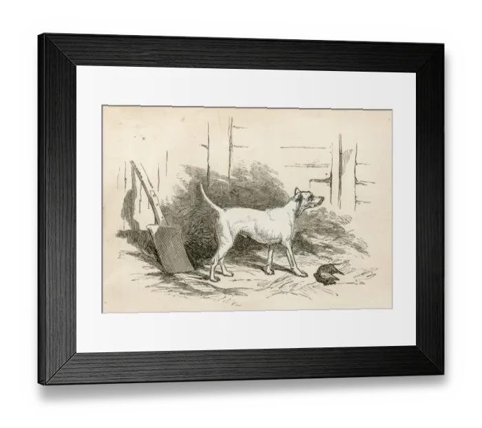 Framed Print : Terrier engraving 1851 Framed Print : Terrier engraving 1851