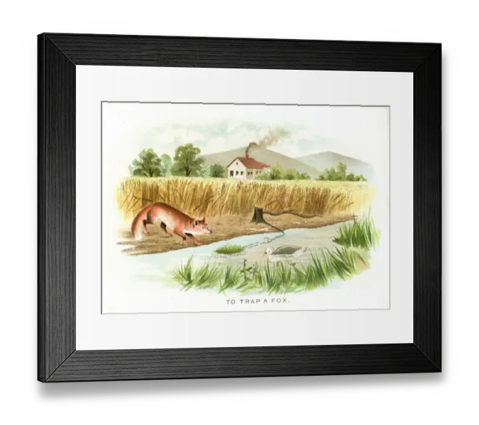Framed Print : How to fool a fox lithograph 1897 Framed Print : How to fool a fox lithograph 1897