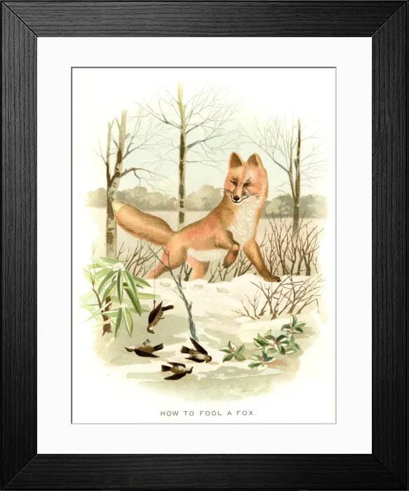 Framed Print : How to fool a fox lithograph 1897 Framed Print : How to fool a fox lithograph 1897