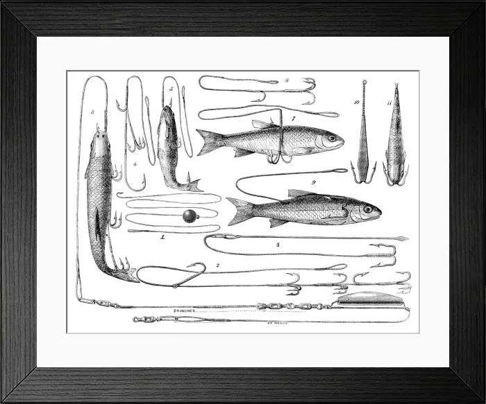 Framed Print : Angling engraving 1878 Framed Print : Angling engraving 1878