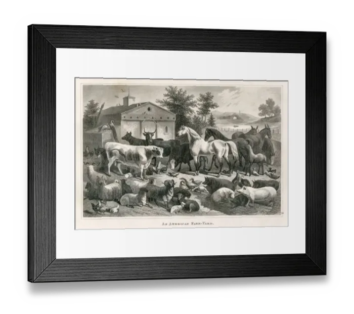 Framed Print : American farm yard engraving 1873 Framed Print : American farm yard engraving 1873
