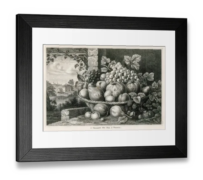 Framed Print : Fruits in a basket engraving 1873 Framed Print : Fruits in a basket engraving 1873