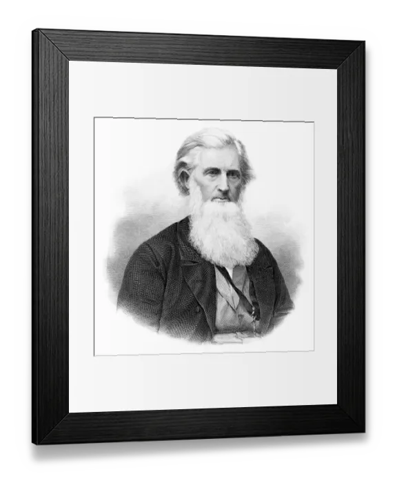 Framed Print : Solon Robinson engraving 1873