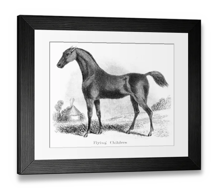 Framed Print : Flying Childers horse engraving 1873 Framed Print : Flying Childers horse engraving 1873