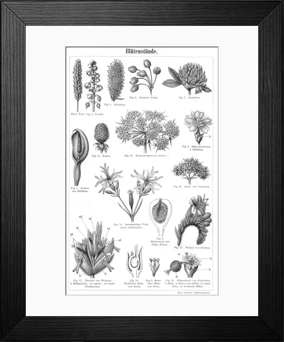 Framed Print : The process of flowering engraving 1895 Framed Print : The process of flowering engraving 1895