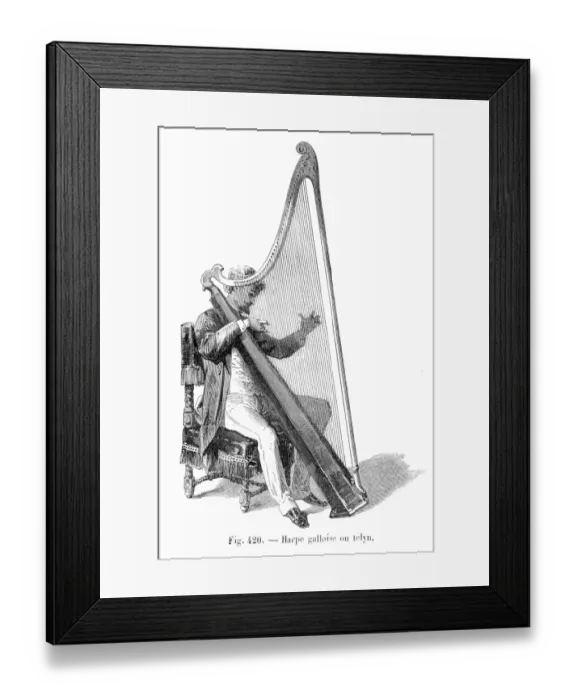 Framed Print : Harp engraving 1885 Framed Print : Harp engraving 1885