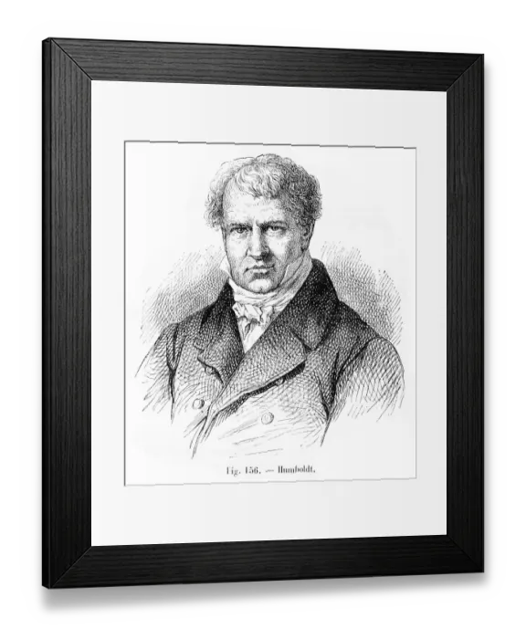 Framed Print : Alexander von Humboldt engraving 1881 Framed Print : Alexander von Humboldt engraving 1881