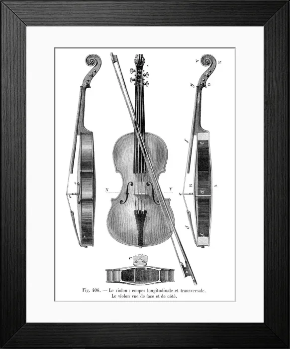 Framed Print : Violin engraving 1881 Framed Print : Violin engraving 1881