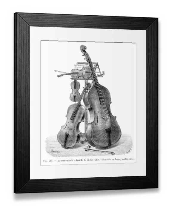 Framed Print : Violin family instruments engraving 1881 Framed Print : Violin family instruments engraving 1881