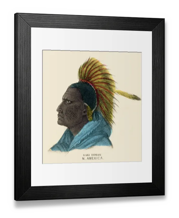 Framed Print : Saki indian illustration 1859