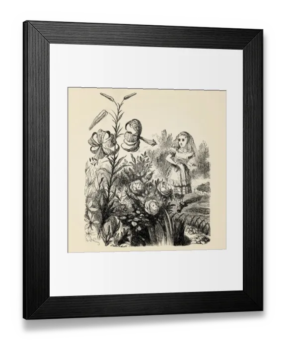 Framed Print : Alice and the flowers engraving 1899 Framed Print : Alice and the flowers engraving 1899