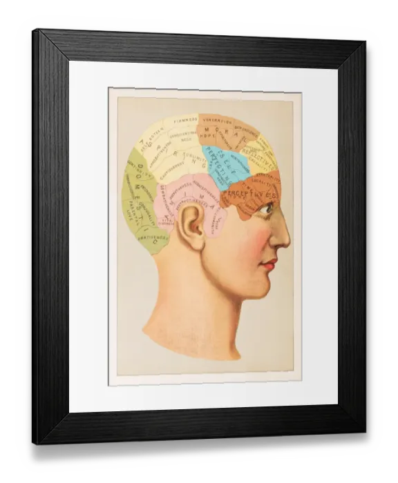 Framed Print : Phrenology Anatomy illustration 1891 Framed Print : Phrenology Anatomy illustration 1891