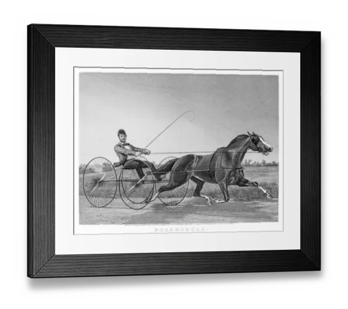 Framed Print : Harness racing horse engraving 1857 Framed Print : Harness racing horse engraving 1857