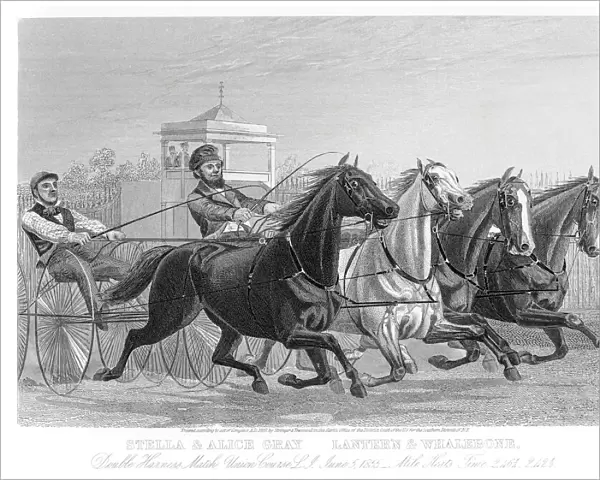 Double Harness racing horse competition 1857