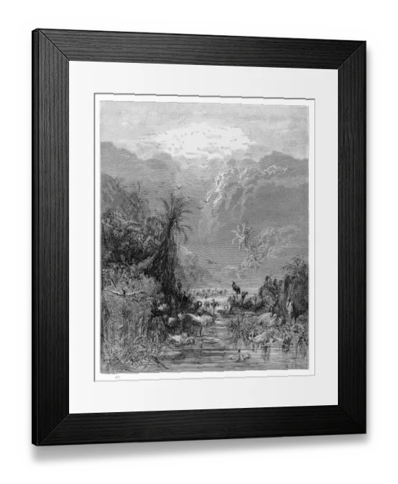 Framed Print : Paradise engraving 1885