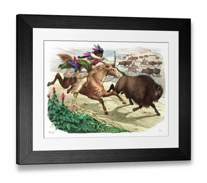 Framed Print : Buffalo hunting engraving 1853 Framed Print : Buffalo hunting engraving 1853
