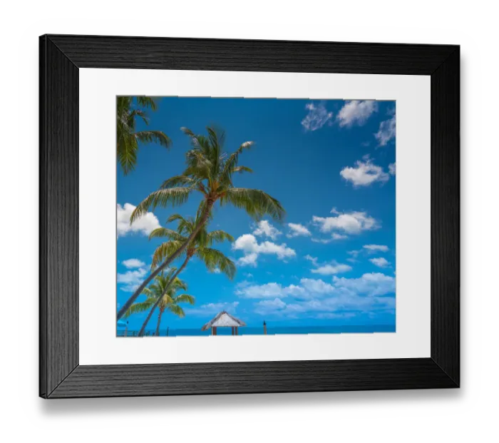 Framed Print : Palm trees in the florida keys Framed Print : Palm trees in the florida keys