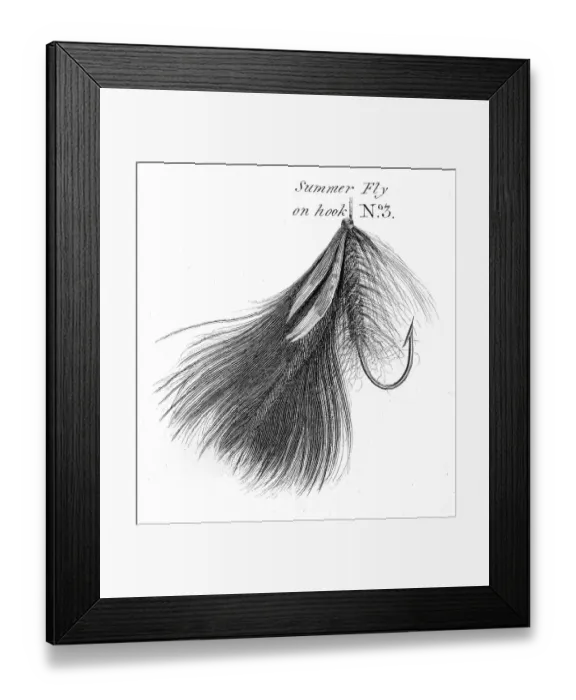 Framed Print : Fishing hook engraving 1812 Framed Print : Fishing hook engraving 1812