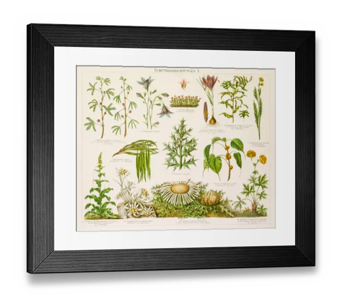 Framed Print : Plants protection devices Lithograph 1896 Framed Print : Plants protection devices Lithograph 1896