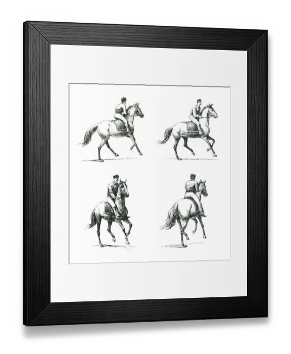 Framed Print : Paces of the Horse engraving Framed Print : Paces of the Horse engraving