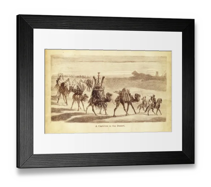 Framed Print : Camel Caravan engraving illustration Framed Print : Camel Caravan engraving illustration