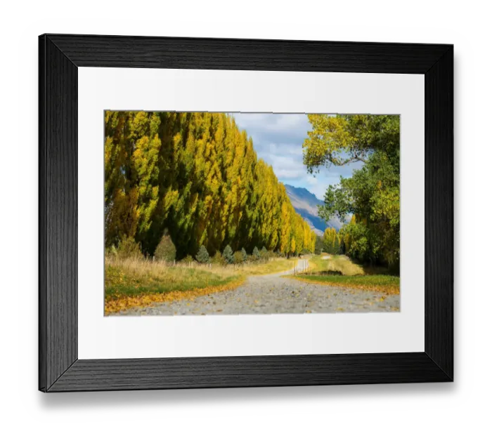 Framed Print : South, New Zealand in Autumn Season Framed Print : South, New Zealand in Autumn Season