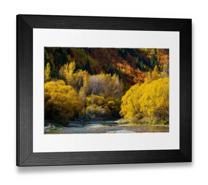 Framed Print : South, New Zealand in Autumn Season Framed Print : South, New Zealand in Autumn Season