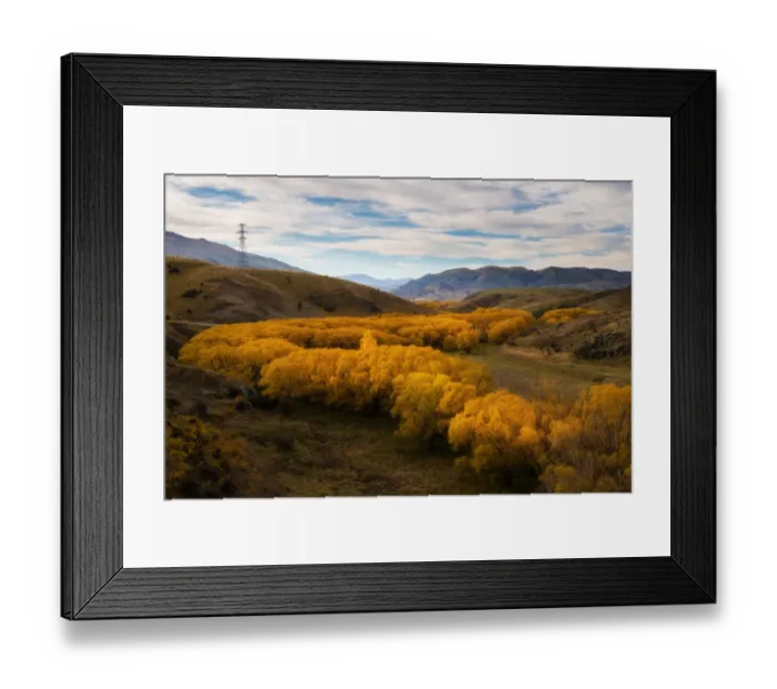 Framed Print : Yellow color leaves in autumn, South Island, New Zealand