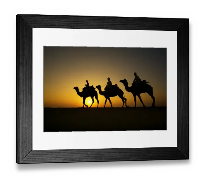 Framed Print : Silhouette of camel caravan at Sam sand dune, Jaisalmer, Rajasthan, India Framed Print : Silhouette of camel caravan at Sam sand dune, Jaisalmer, Rajasthan, India