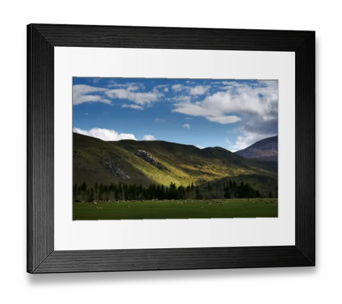 Framed Print : Arthurs Pass of South Island, New Zealand Framed Print : Arthurs Pass of South Island, New Zealand