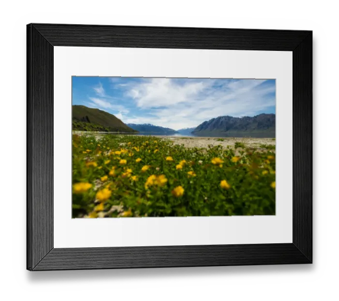 Framed Print : Lake Hawea in summer season