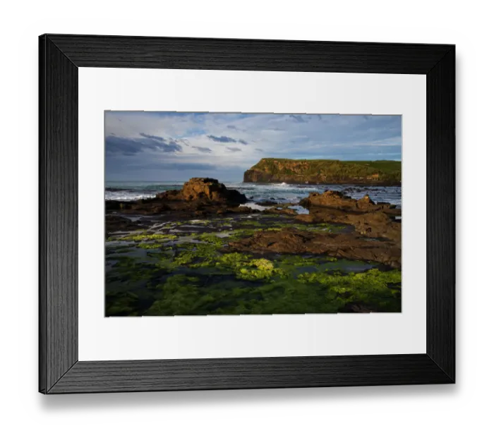 Framed Print : Landscape of Curio Bay Framed Print : Landscape of Curio Bay
