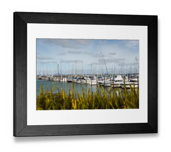 Framed Print : Auckland Harbour Sailing Framed Print : Auckland Harbour Sailing