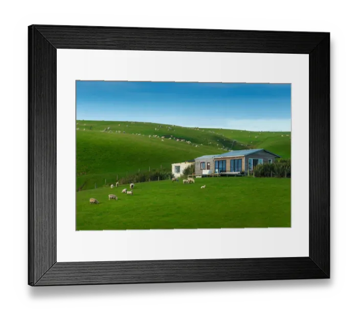 Framed Print : New Zealand in summer season Framed Print : New Zealand in summer season