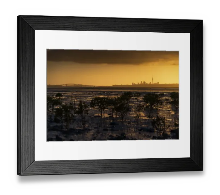Framed Print : Auckland in the morning