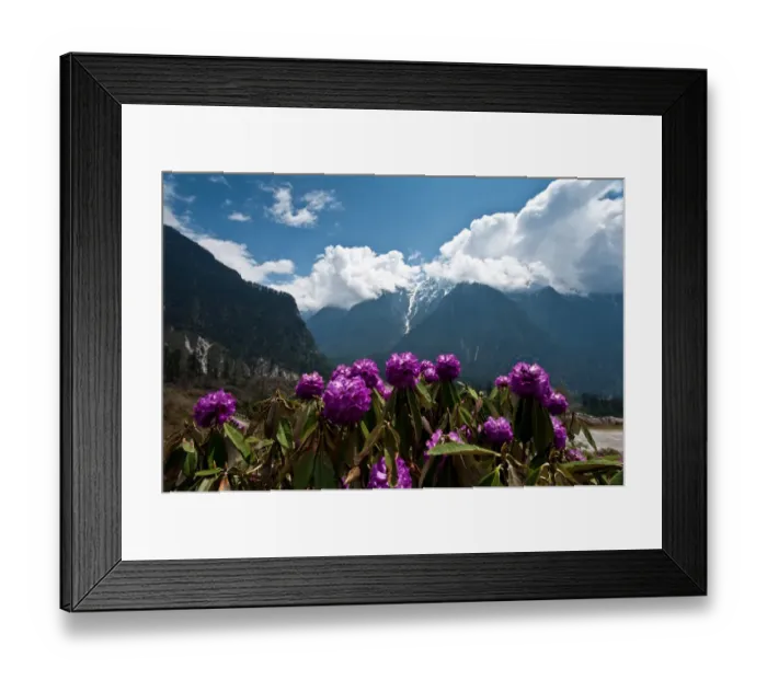 Framed Print : Landscape of Lachung area, North Sikkim, India Framed Print : Landscape of Lachung area, North Sikkim, India