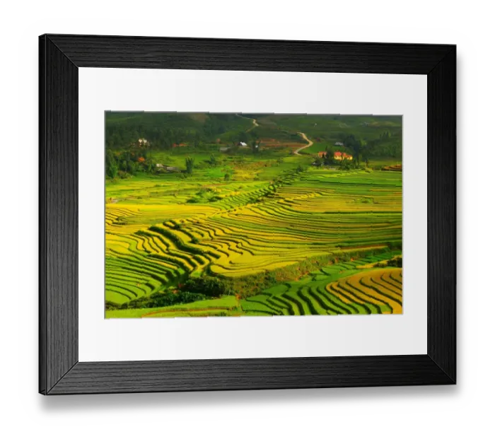 Framed Print : Sapa rice terrace, Vietnam Framed Print : Sapa rice terrace, Vietnam