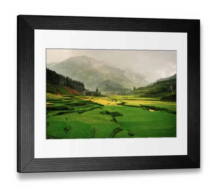 Framed Print : Sapa rice terrace, Vietnam Framed Print : Sapa rice terrace, Vietnam