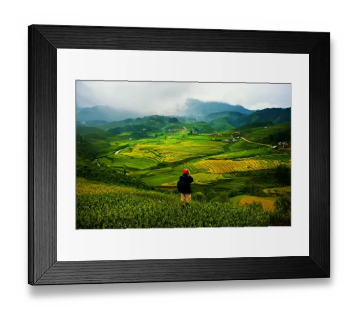 Framed Print : Sapa rice terrace