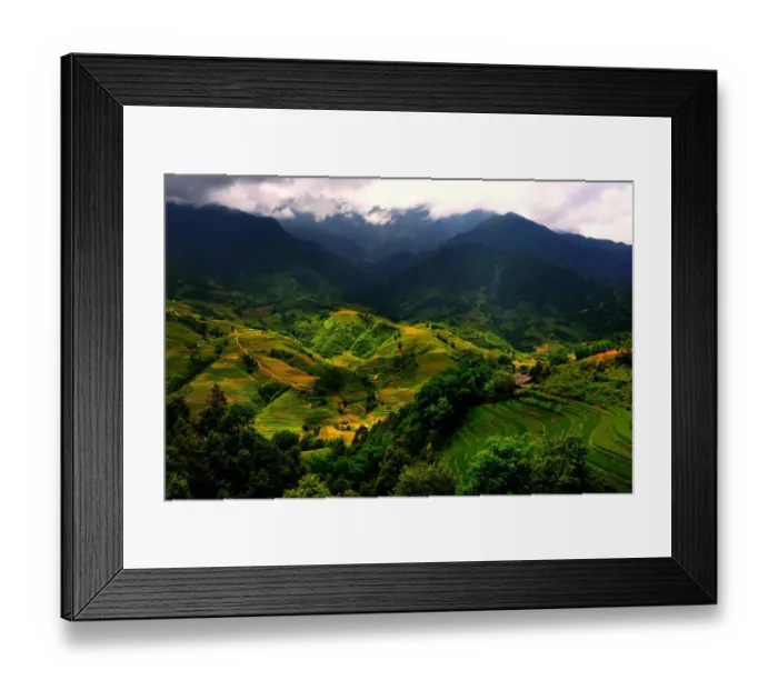 Framed Print : Sapa rice terrace Framed Print : Sapa rice terrace