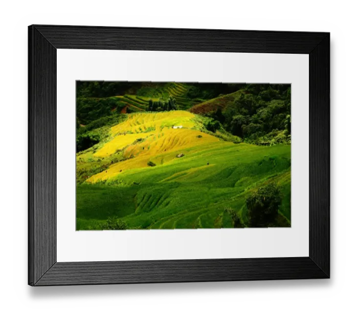 Framed Print : Sapa rice terrace