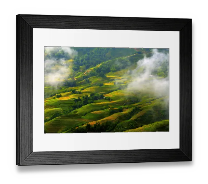 Framed Print : Sapa rice terrace, Vietnam Framed Print : Sapa rice terrace, Vietnam