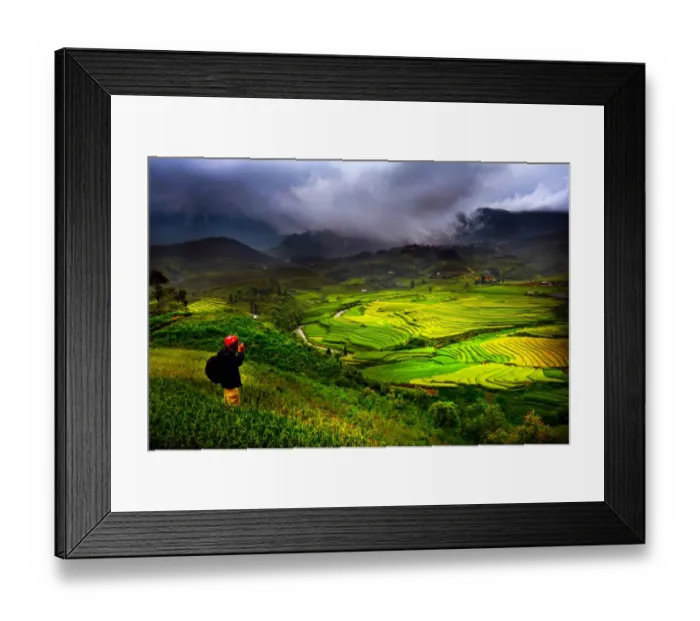 Framed Print : Sapa rice terrace, Vietnam Framed Print : Sapa rice terrace, Vietnam