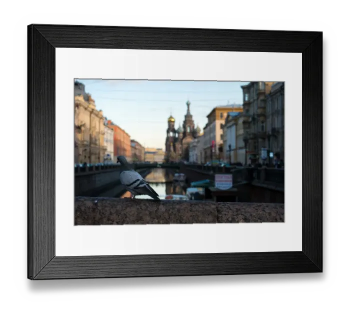 Framed Print : Church of the Savior on Blood, Saint Petersburg Framed Print : Church of the Savior on Blood, Saint Petersburg