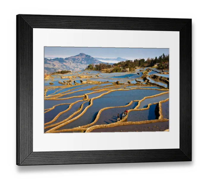 Framed Print : Yuanyang rice terrace, Yunnan, China