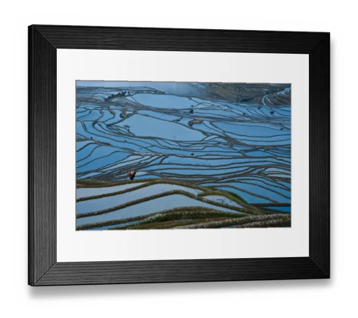 Framed Print : Yuanyang rice terrace, Yunnan, China Framed Print : Yuanyang rice terrace, Yunnan, China