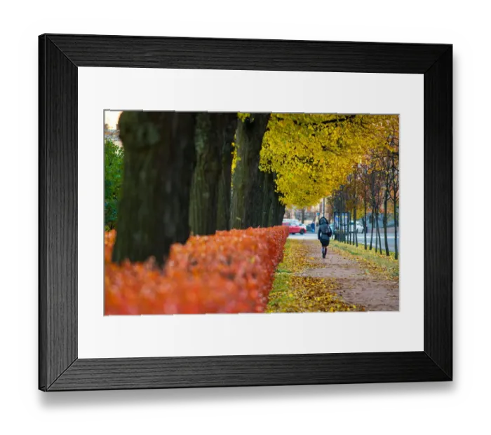 Framed Print : Saint Petersburg in autumn season Framed Print : Saint Petersburg in autumn season