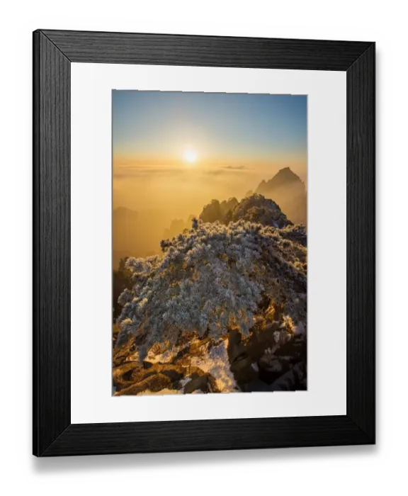 Framed Print : Snowy Pine tree in Huangshan Framed Print : Snowy Pine tree in Huangshan