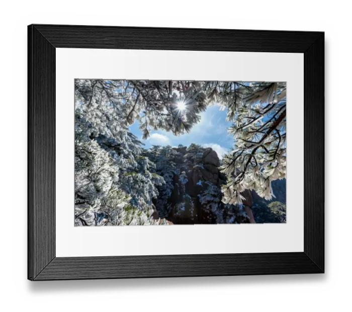 Framed Print : Snowy pine trees on Huangshan mountain Framed Print : Snowy pine trees on Huangshan mountain