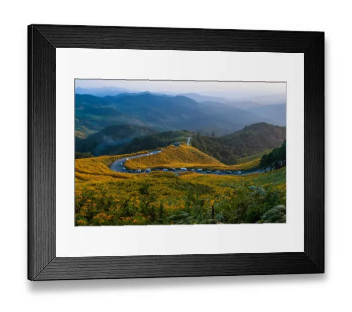 Framed Print : Mexican sunflower field at Doi Mae U-Kho Framed Print : Mexican sunflower field at Doi Mae U-Kho